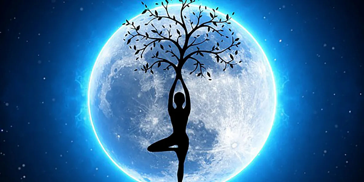 Le Storie di Luna (parte seconda)