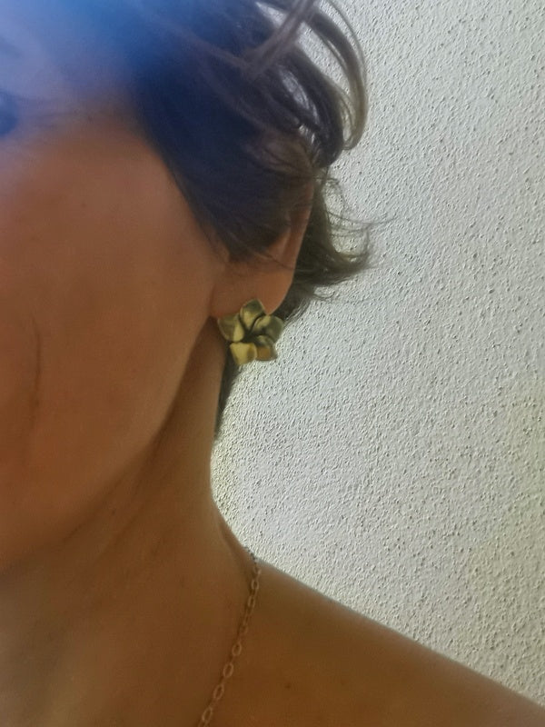 Orecchini Frangipane