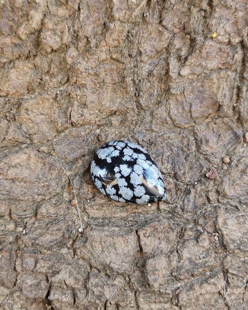 Ossidiana Nera
